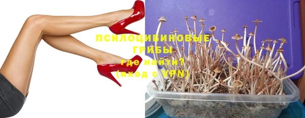 амф Шарыпово