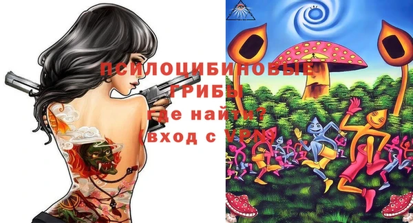 2c-b Кущёвская