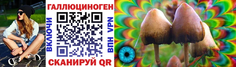 Галлюциногенные грибы Psilocybe  Купить закладки  Опочка 